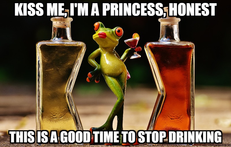 Meme Monday - Frog & Wine